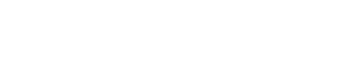 Bigfollow Italia